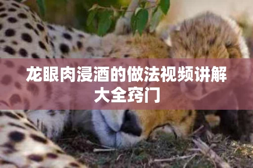 龙眼肉浸酒的做法视频讲解大全窍门