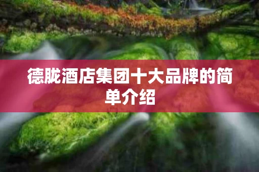 德胧酒店集团十大品牌的简单介绍