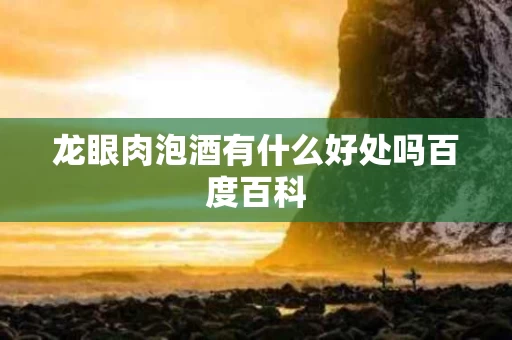 龙眼肉泡酒有什么好处吗百度百科