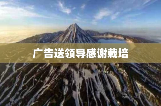 广告送领导感谢栽培