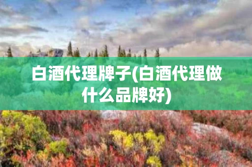 白酒代理牌子(白酒代理做什么品牌好)