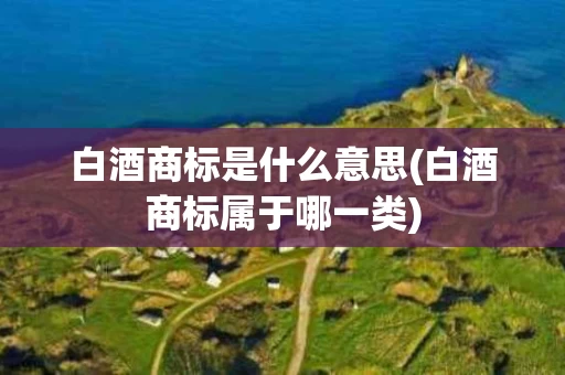 白酒商标是什么意思(白酒商标属于哪一类)