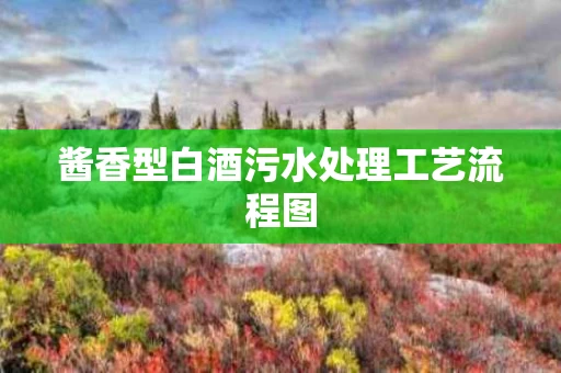 酱香型白酒污水处理工艺流程图