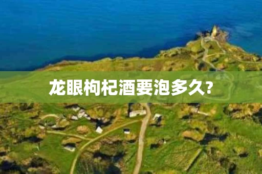 龙眼枸杞酒要泡多久?