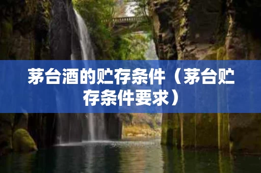 茅台酒的贮存条件（茅台贮存条件要求）