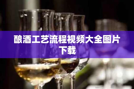 酿酒工艺流程视频大全图片下载