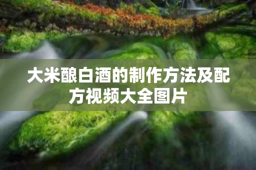 大米酿白酒的制作方法及配方视频大全图片