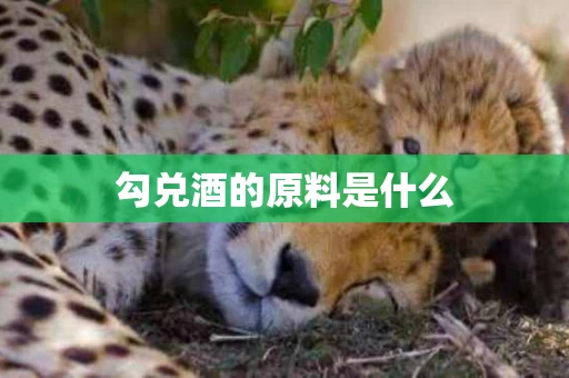 勾兑酒的原料是什么