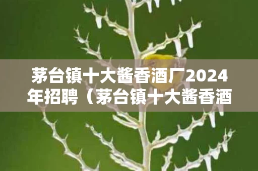 茅台镇十大酱香酒厂2024年招聘（茅台镇十大酱香酒厂排名知乎）