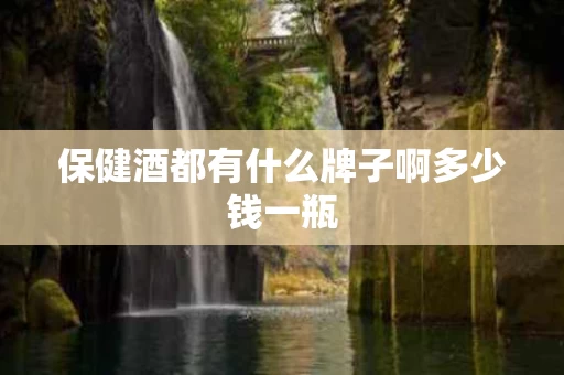 保健酒都有什么牌子啊多少钱一瓶