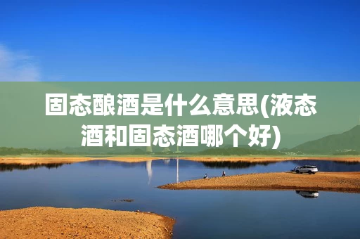 固态酿酒是什么意思(液态酒和固态酒哪个好)