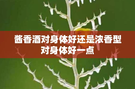 酱香酒对身体好还是浓香型对身体好一点