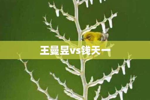 王曼昱vs钱天一