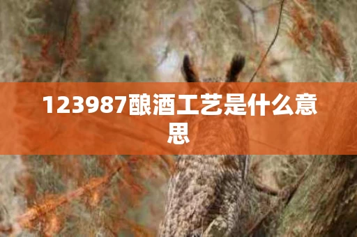 123987酿酒工艺是什么意思