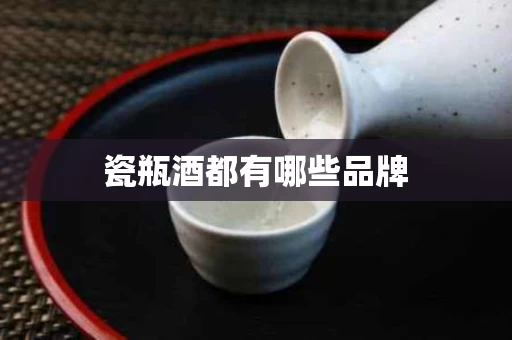 瓷瓶酒都有哪些品牌
