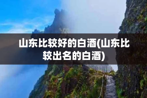 山东比较好的白酒(山东比较出名的白酒)