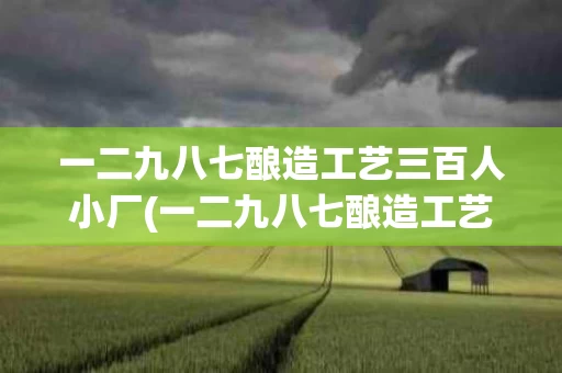 一二九八七酿造工艺三百人小厂(一二九八七酿造工艺图)