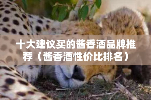 十大建议买的酱香酒品牌推荐（酱香酒性价比排名）