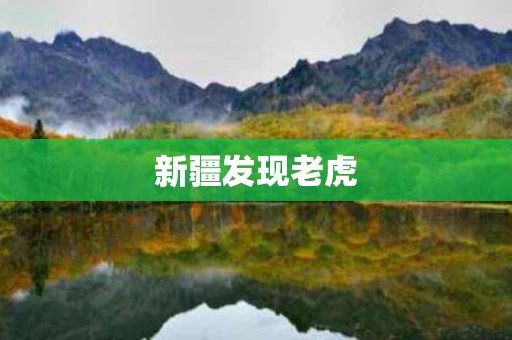 新疆发现老虎