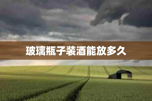 玻璃瓶子装酒能放多久