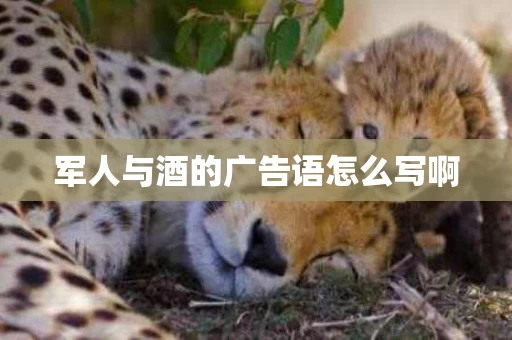 军人与酒的广告语怎么写啊