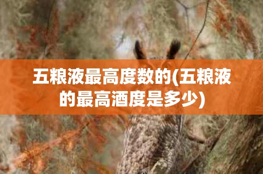 五粮液最高度数的(五粮液的最高酒度是多少)
