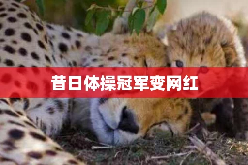 昔日体操冠军变网红