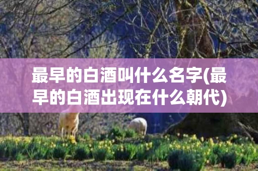 最早的白酒叫什么名字(最早的白酒出现在什么朝代)