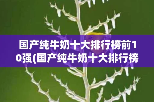 国产纯牛奶十大排行榜前10强(国产纯牛奶十大排行榜前10强有哪些)