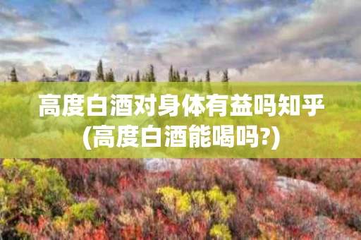 高度白酒对身体有益吗知乎(高度白酒能喝吗?)