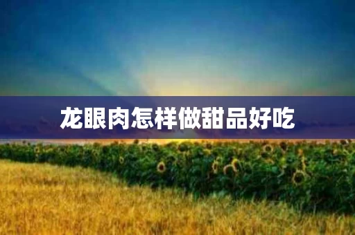 龙眼肉怎样做甜品好吃