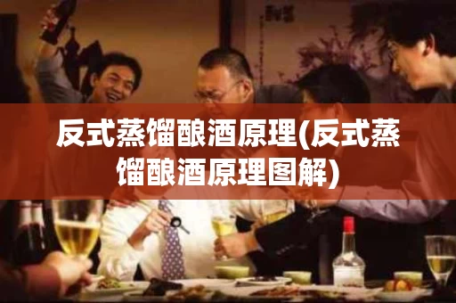 反式蒸馏酿酒原理(反式蒸馏酿酒原理图解)