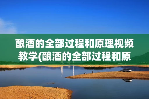 酿酒的全部过程和原理视频教学(酿酒的全部过程和原理视频教学大全)