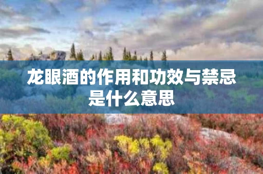龙眼酒的作用和功效与禁忌是什么意思