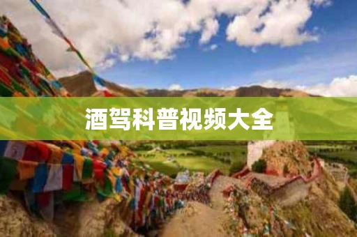 酒驾科普视频大全