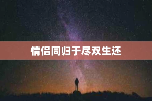 情侣同归于尽双生还