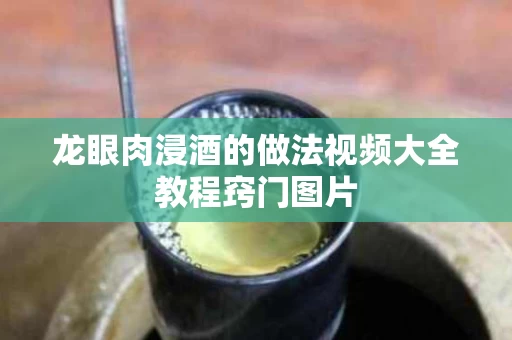 龙眼肉浸酒的做法视频大全教程窍门图片