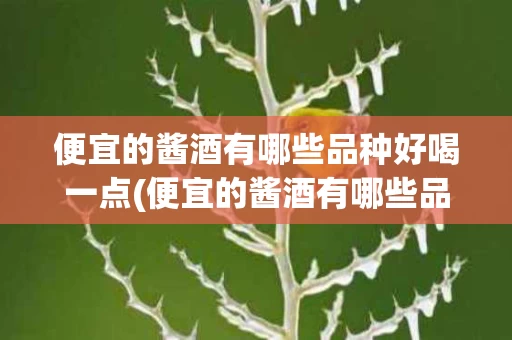 便宜的酱酒有哪些品种好喝一点(便宜的酱酒有哪些品种好喝一点呢)