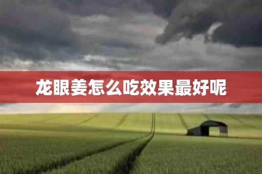龙眼姜怎么吃效果最好呢