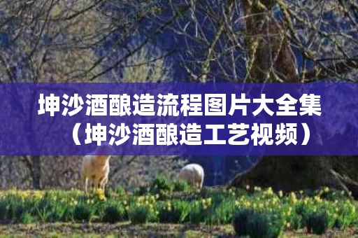 坤沙酒酿造流程图片大全集（坤沙酒酿造工艺视频）