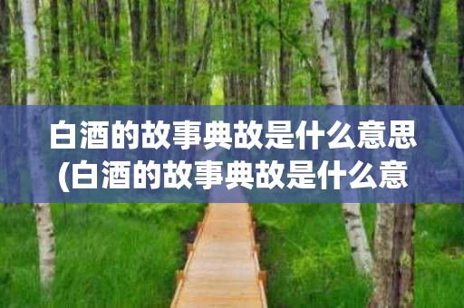 白酒的故事典故是什么意思(白酒的故事典故是什么意思呀)