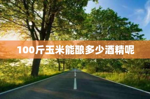 100斤玉米能酿多少酒精呢