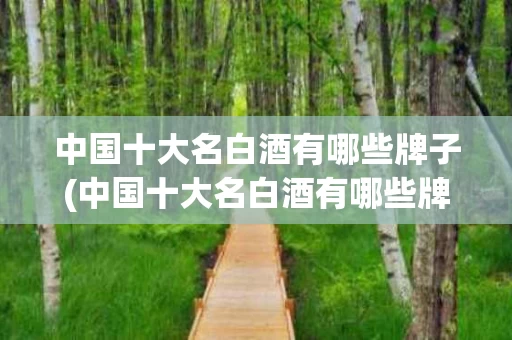 中国十大名白酒有哪些牌子(中国十大名白酒有哪些牌子的)