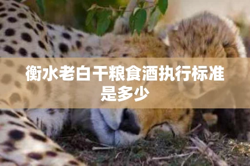 衡水老白干粮食酒执行标准是多少