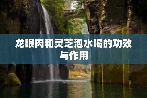 龙眼肉和灵芝泡水喝的功效与作用