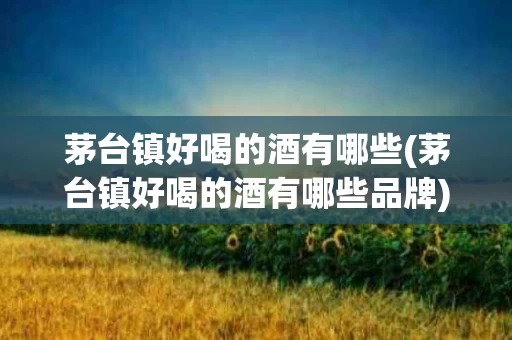 茅台镇好喝的酒有哪些(茅台镇好喝的酒有哪些品牌)