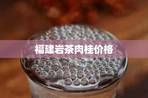 福建岩茶肉桂价格