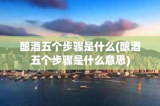 酿酒五个步骤是什么(酿酒五个步骤是什么意思)