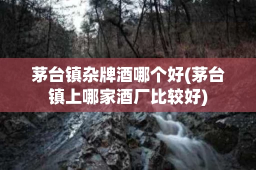 茅台镇杂牌酒哪个好(茅台镇上哪家酒厂比较好)