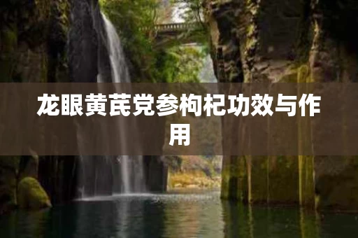 龙眼黄芪党参枸杞功效与作用 龙眼黄芪党参枸杞功效与作用